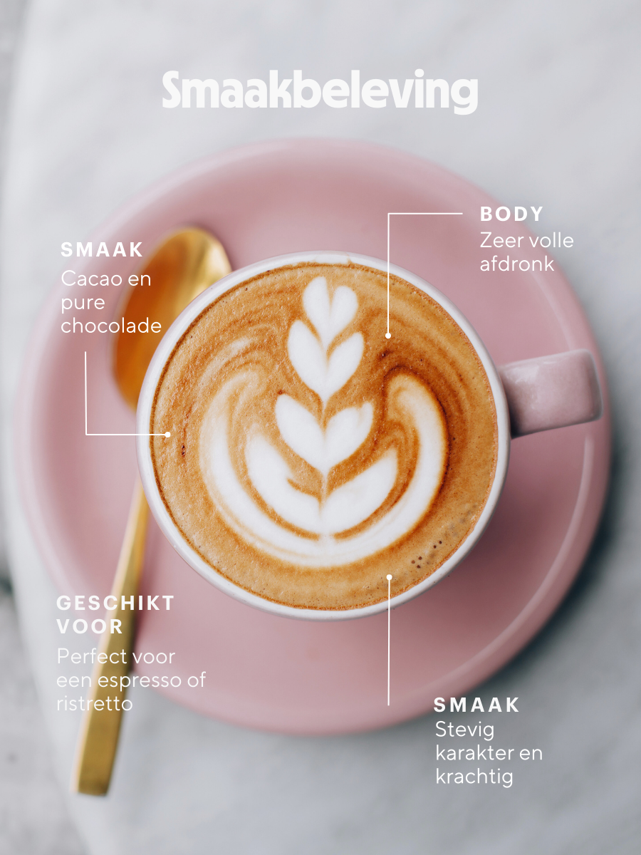 Barzini Como Extra Dark Roast - 22 cups