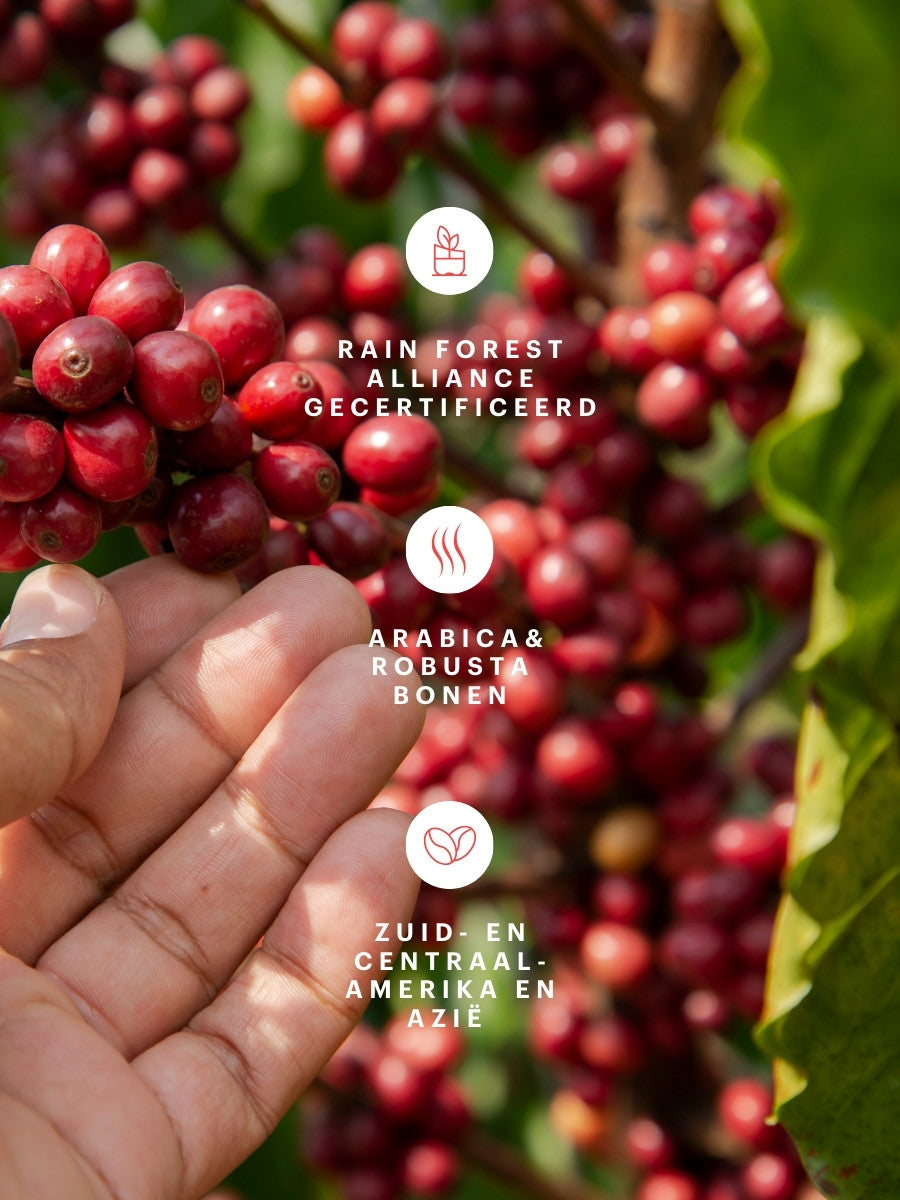 Barzini Como Extra Dark Roast - 22 cups