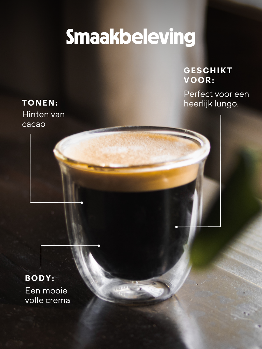 CoffeeMeister Medium Roast - 80 cups