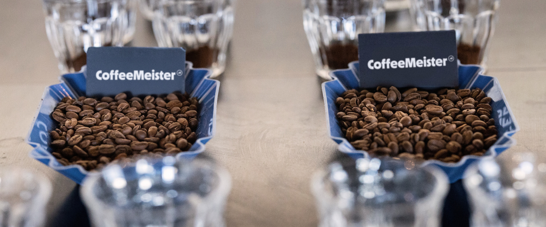 Arabica vs. Robusta koffiebonen: wat is het verschil?